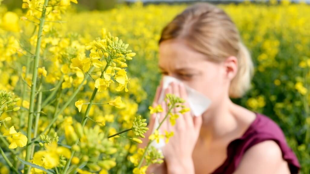 Understanding Pollen Food Allergy Syndrome